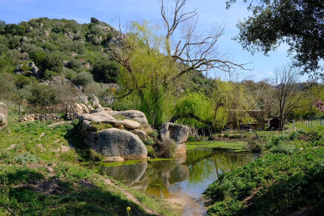 Oschiri Il Nuraghe Del Lago Coghinas المظهر الخارجي الصورة