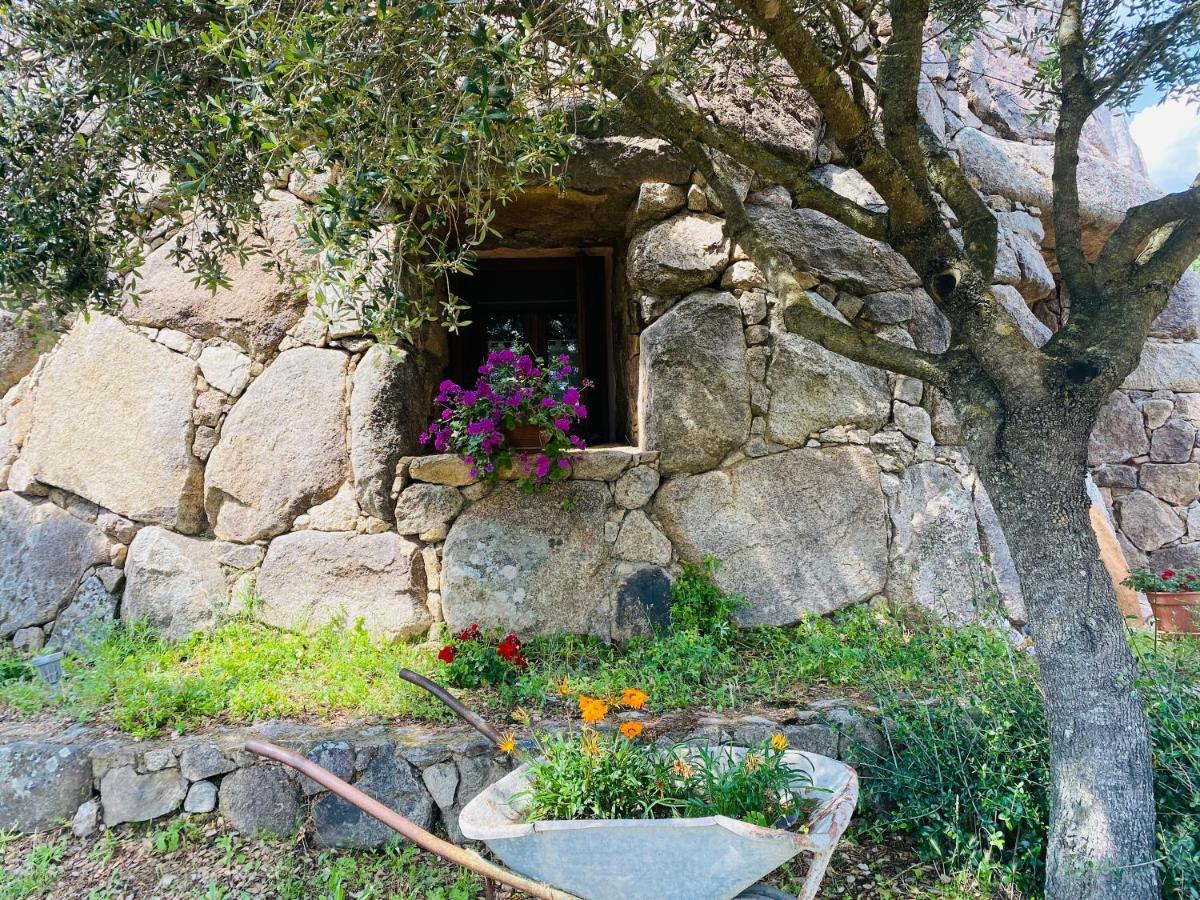 Oschiri Il Nuraghe Del Lago Coghinas المظهر الخارجي الصورة