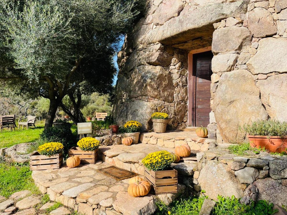 Oschiri Il Nuraghe Del Lago Coghinas المظهر الخارجي الصورة