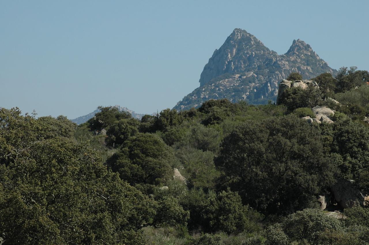 Oschiri Il Nuraghe Del Lago Coghinas المظهر الخارجي الصورة